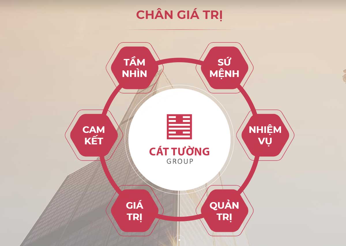 25202407-gia-tri-cty-cat-tuong