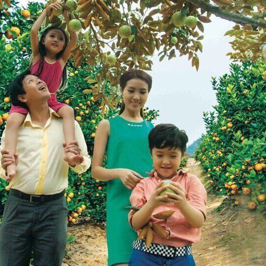 z1181882238256_4ca5c4babaa2fd87da3fe6402aadb501 Vườn rau sạch